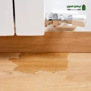 كشف تسربات المياه في الرس
